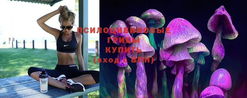 Галлюциногенные грибы Magic Shrooms  Полярный 